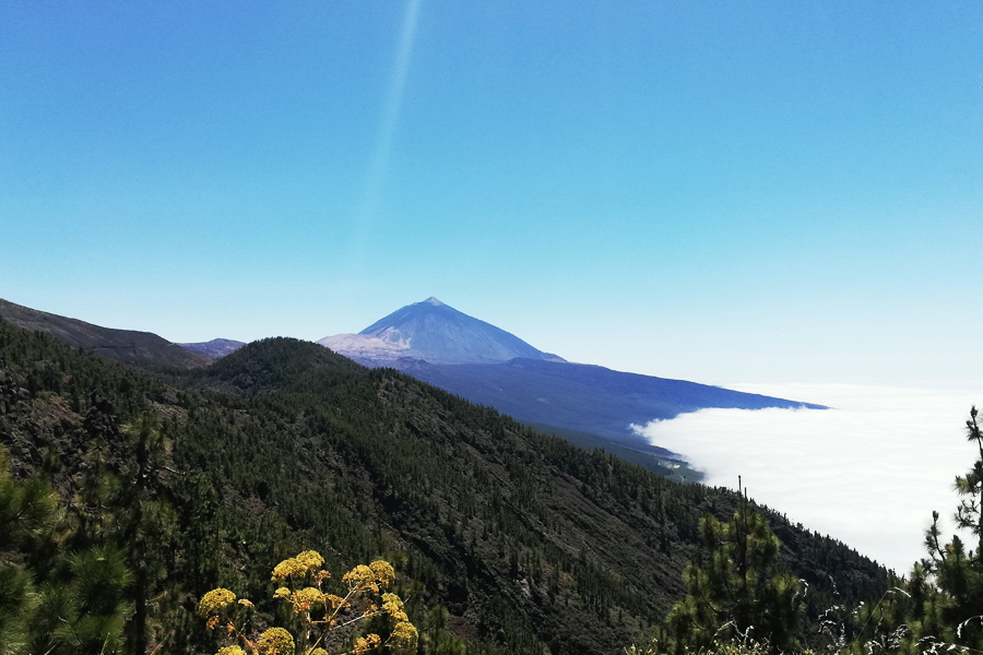 Parque Nacional del Teide